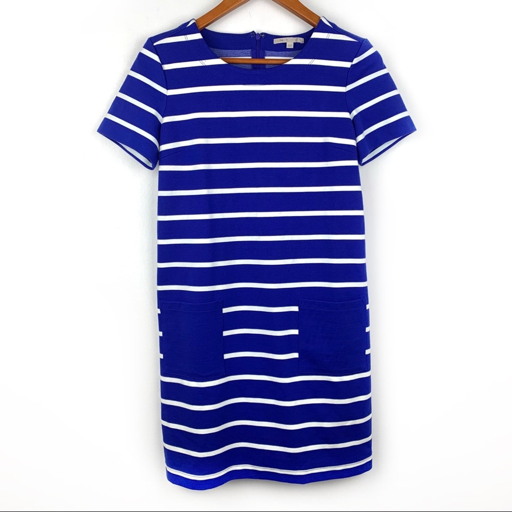 GAP Blue and White Striped Dress